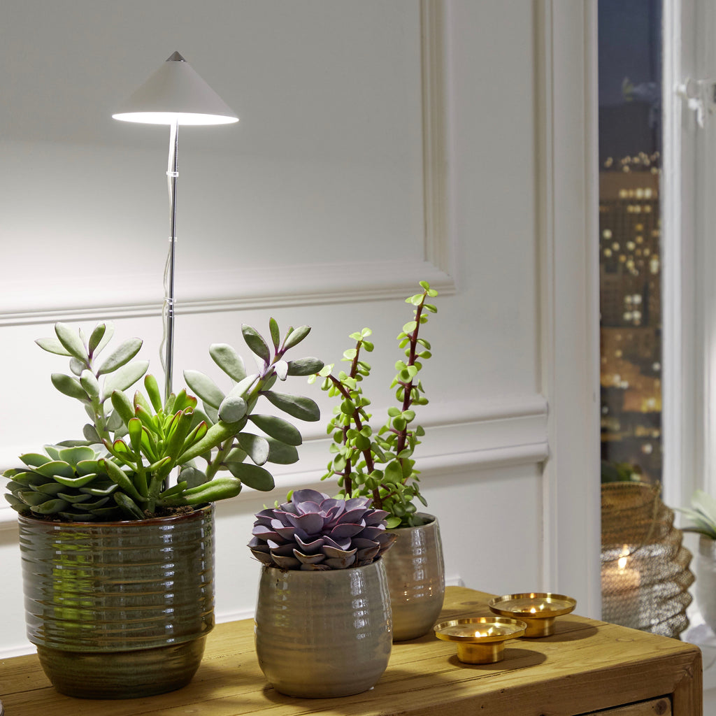 LED-Pflanzenlampe 7W